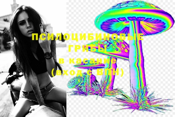 прущие крисы Магадан