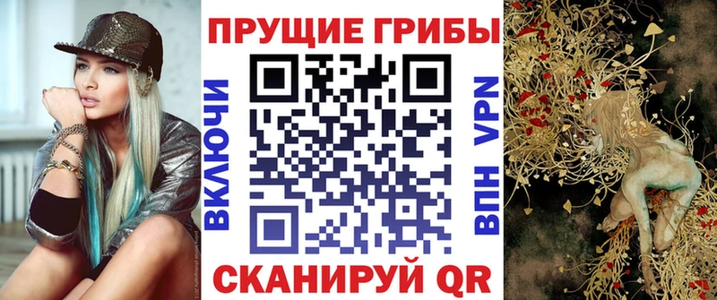 Купить где  Яровое  Галлюциногенные грибы GOLDEN TEACHER 
